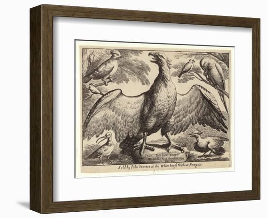 Eagle and Other Birds-Wenceslaus Hollar-Framed Giclee Print