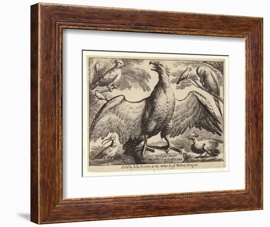 Eagle and Other Birds-Wenceslaus Hollar-Framed Giclee Print