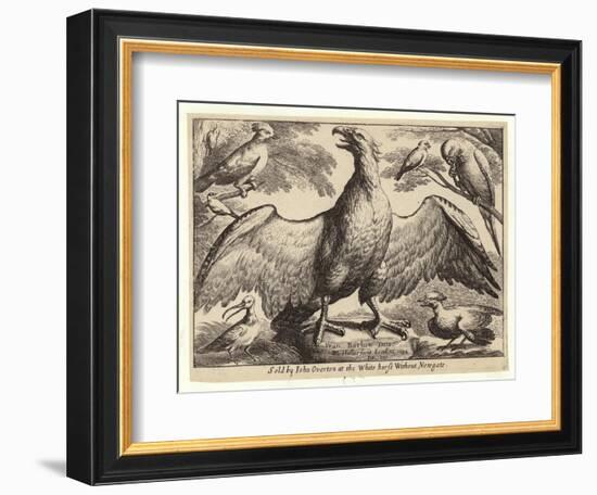 Eagle and Other Birds-Wenceslaus Hollar-Framed Giclee Print