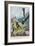 Eagle Attempts Abduction-Vittorio Pisani-Framed Art Print