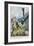 Eagle Attempts Abduction-Vittorio Pisani-Framed Art Print