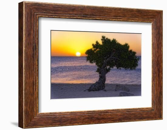 Eagle Beach Sunset witha Divi Tree, Aruba-George Oze-Framed Photographic Print