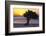 Eagle Beach Sunset witha Divi Tree, Aruba-George Oze-Framed Photographic Print