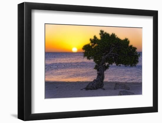 Eagle Beach Sunset witha Divi Tree, Aruba-George Oze-Framed Photographic Print