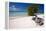 Eagle Beach with a Fofoti Divi Tree Aruba-George Oze-Framed Premier Image Canvas