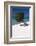 Eagle Beach with a Fofoti Tree Aruba-George Oze-Framed Photographic Print