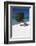 Eagle Beach with a Fofoti Tree Aruba-George Oze-Framed Photographic Print