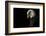 Eagle Bow-Nathan Larson-Framed Photographic Print