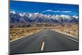 Premium Photographic Print