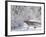 Eagle Creek City Park, Indianapolis, Indiana, Usa-Anna Miller-Framed Photographic Print