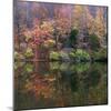 Eagle Creek City Park, Indianapolis, Indiana, Usa-Anna Miller-Mounted Photographic Print