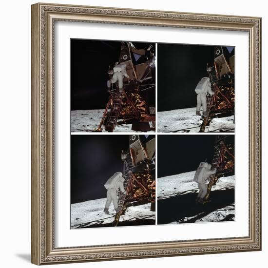 Eagle Exploration-null-Framed Giclee Print