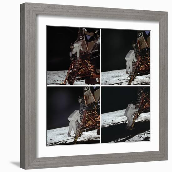 Eagle Exploration-null-Framed Giclee Print