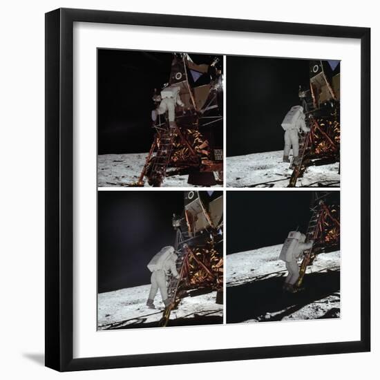 Eagle Exploration-null-Framed Giclee Print