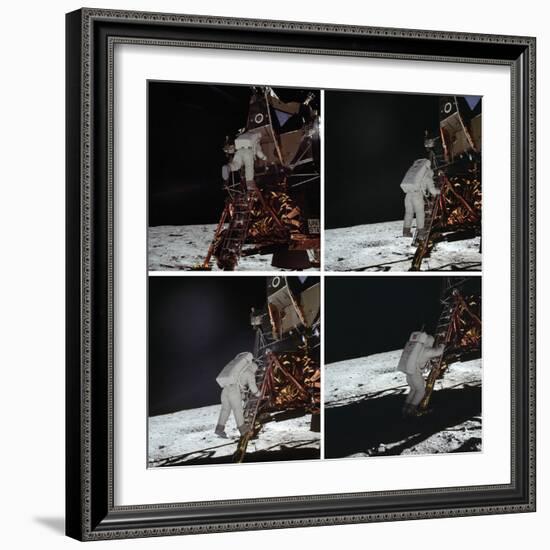 Eagle Exploration-null-Framed Giclee Print