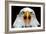 Eagle Face-Lantern Press-Framed Art Print