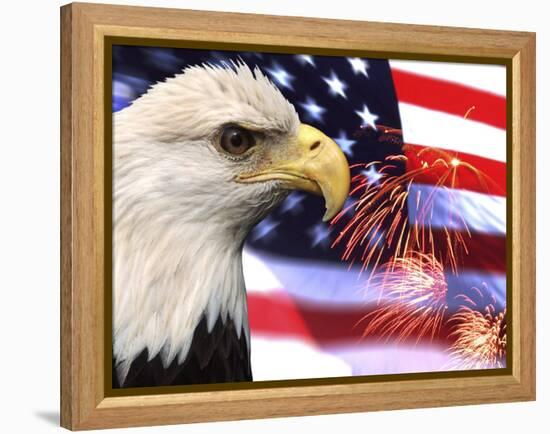 Eagle, Firework, Patriotism in the USA-Bill Bachmann-Framed Premier Image Canvas