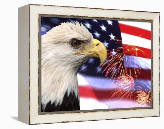 Eagle, Firework, Patriotism in the USA-Bill Bachmann-Framed Premier Image Canvas