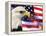 Eagle, Firework, Patriotism in the USA-Bill Bachmann-Framed Premier Image Canvas