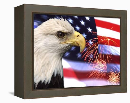 Eagle, Firework, Patriotism in the USA-Bill Bachmann-Framed Premier Image Canvas