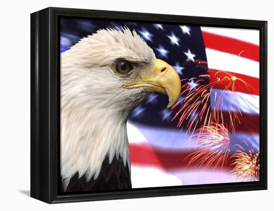 Eagle, Firework, Patriotism in the USA-Bill Bachmann-Framed Premier Image Canvas