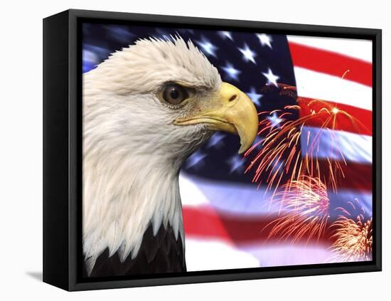 Eagle, Firework, Patriotism in the USA-Bill Bachmann-Framed Premier Image Canvas