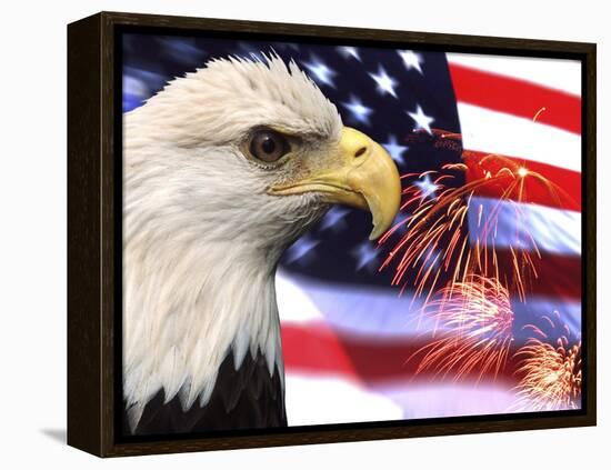 Eagle, Firework, Patriotism in the USA-Bill Bachmann-Framed Premier Image Canvas