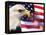 Eagle, Firework, Patriotism in the USA-Bill Bachmann-Framed Premier Image Canvas