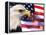 Eagle, Firework, Patriotism in the USA-Bill Bachmann-Framed Premier Image Canvas