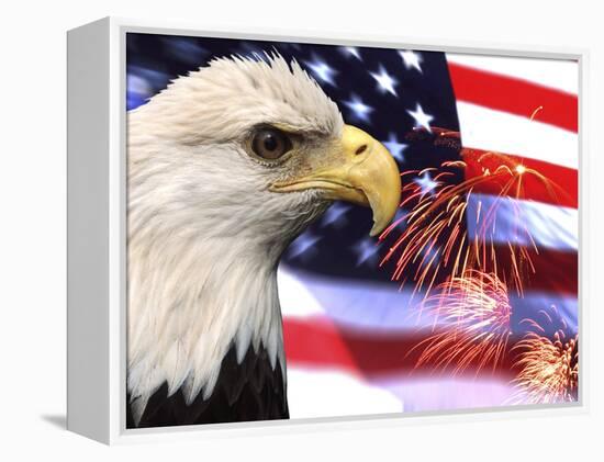 Eagle, Firework, Patriotism in the USA-Bill Bachmann-Framed Premier Image Canvas