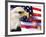 Eagle, Firework, Patriotism in the USA-Bill Bachmann-Framed Photographic Print