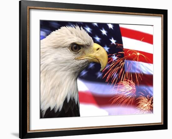 Eagle, Firework, Patriotism in the USA-Bill Bachmann-Framed Photographic Print