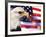 Eagle, Firework, Patriotism in the USA-Bill Bachmann-Framed Photographic Print