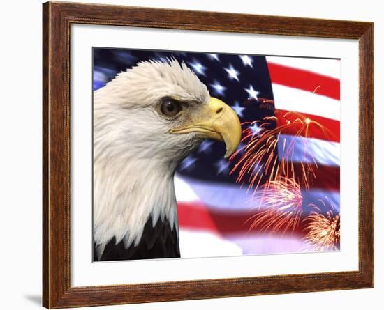 Eagle, Firework, Patriotism in the USA-Bill Bachmann-Framed Photographic Print