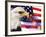 Eagle, Firework, Patriotism in the USA-Bill Bachmann-Framed Photographic Print