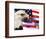 Eagle, Firework, Patriotism in the USA-Bill Bachmann-Framed Photographic Print