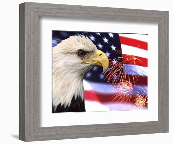 Eagle, Firework, Patriotism in the USA-Bill Bachmann-Framed Photographic Print