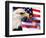 Eagle, Firework, Patriotism in the USA-Bill Bachmann-Framed Photographic Print