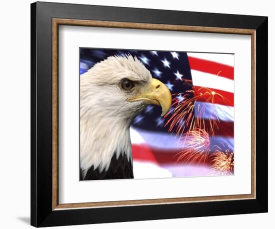 Eagle, Firework, Patriotism in the USA-Bill Bachmann-Framed Photographic Print