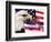 Eagle, Firework, Patriotism in the USA-Bill Bachmann-Framed Photographic Print