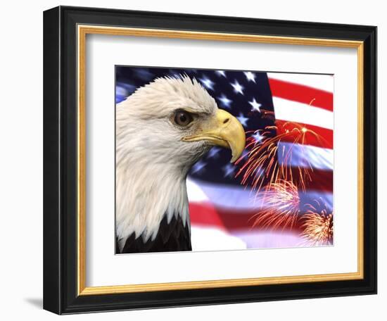 Eagle, Firework, Patriotism in the USA-Bill Bachmann-Framed Photographic Print