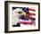 Eagle, Firework, Patriotism in the USA-Bill Bachmann-Framed Photographic Print