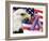 Eagle, Fireworks, Ribbon, and Flag-Bill Bachmann-Framed Photographic Print