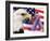 Eagle, Fireworks, Ribbon, and Flag-Bill Bachmann-Framed Photographic Print