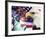 Eagle, Fireworks, Statue of Liberty-Bill Bachmann-Framed Photographic Print