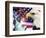 Eagle, Fireworks, Statue of Liberty-Bill Bachmann-Framed Photographic Print