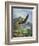 Eagle Gliding-unknown Caroselli-Framed Art Print