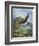 Eagle Gliding-unknown Caroselli-Framed Art Print