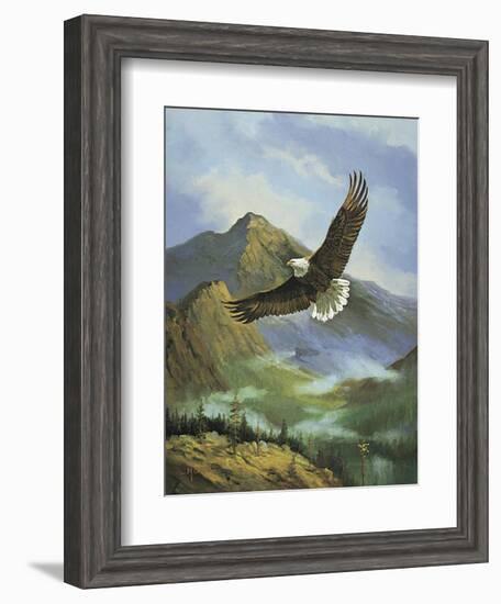 Eagle Gliding-unknown Caroselli-Framed Art Print