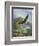 Eagle Gliding-unknown Caroselli-Framed Art Print